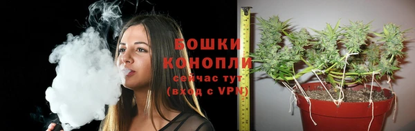 дурь Надым