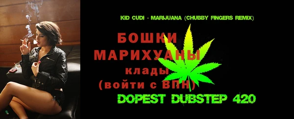 дурь Надым