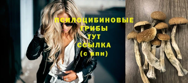 дурь Надым